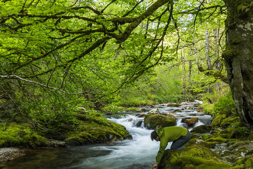 Viajar por España - Viaje en motorhome al Bosque de Muniellos
