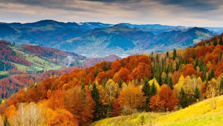 Viajar por España - Viaje en motorhome al Bosque de Muniellos