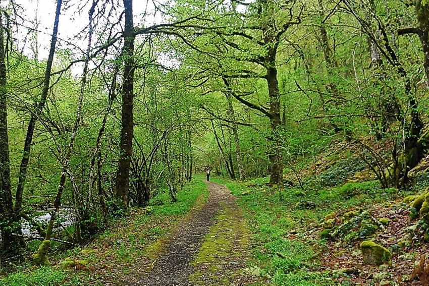 Viajar por España - Alquiler autocaravanas