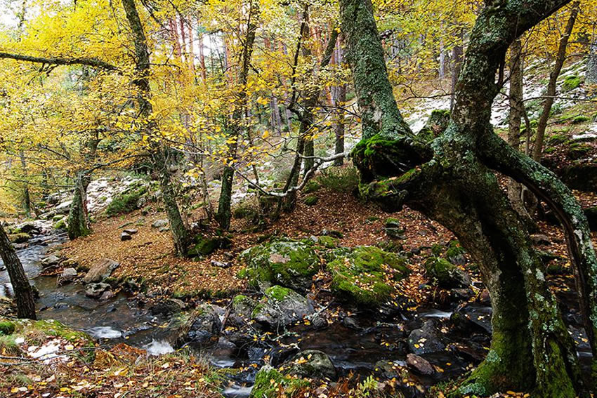Viajar por España - Visita en autocaravana la Ruta Ecológica de Canencia