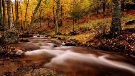Viajar por España - Visita en autocaravana la Ruta Ecológica de Canencia