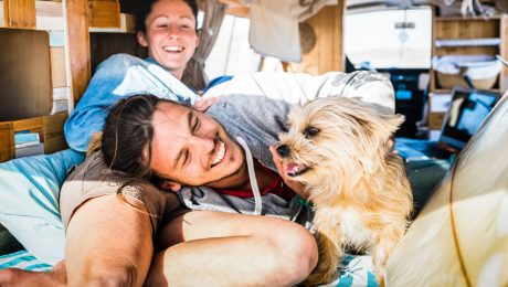Viajar por España - Ruta en autocaravana con tu mascota: ¡Una experiencia inolvidable!